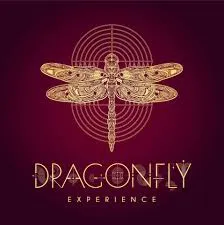 Dragonfly Experience logo